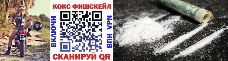 COCAIN Fish Scale  Купить где  Дмитриев 