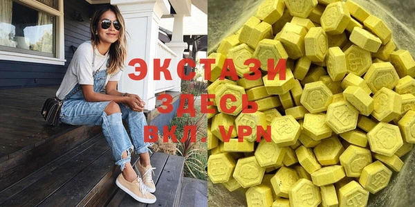 спайс Каменка