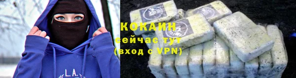 спайс Каменка