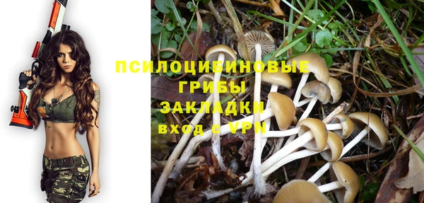 спайс Каменка