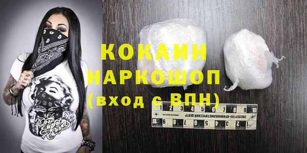 спайс Каменка
