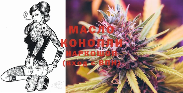 спайс Каменка