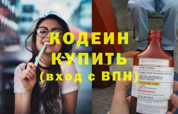 спайс Каменка
