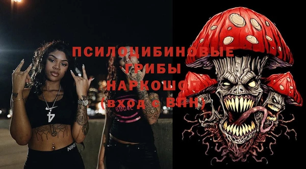каннабис Каменногорск
