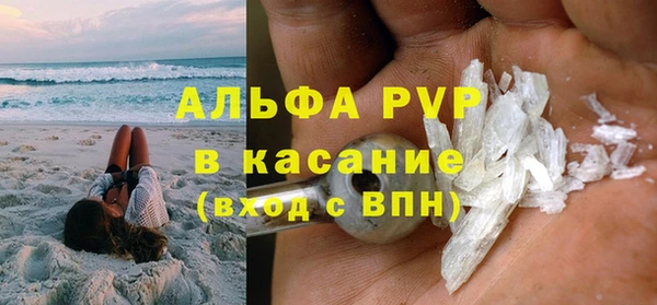 спайс Каменка