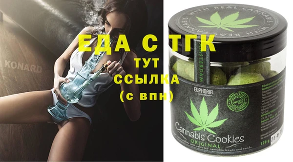 спайс Каменка