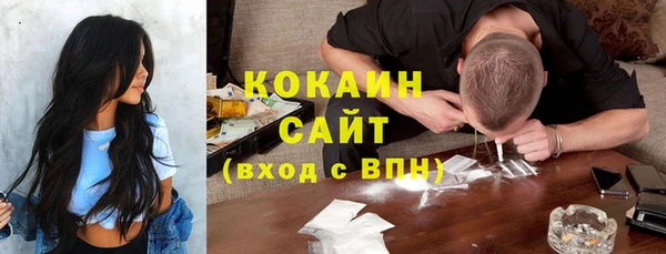 спайс Каменка