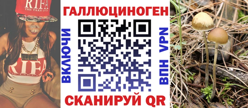 Купить закладки  Дмитриев  Псилоцибиновые грибы мухоморы 